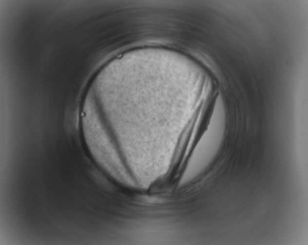 X0000088441420200706191244