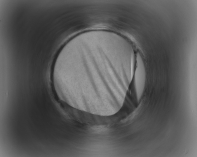 X0000088441422200706191244