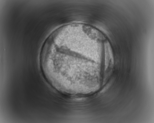 X0000088441423200706191244