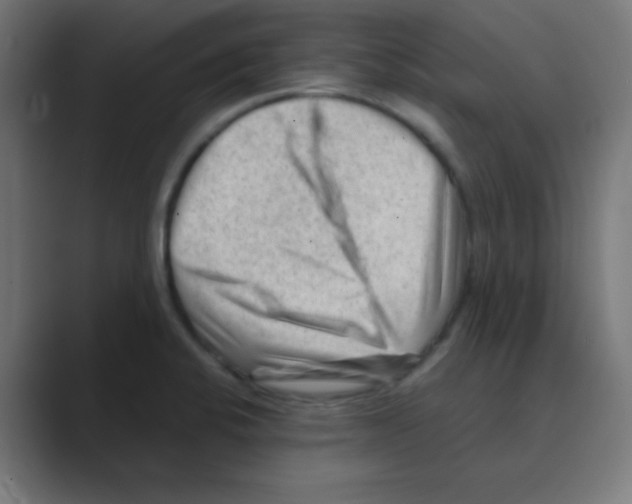 X0000088441424200706191244