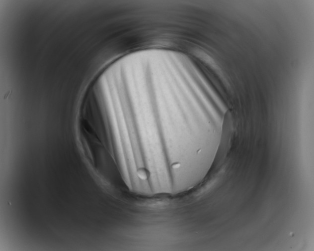 X0000088441426200706191244