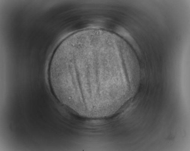 X0000088441427200706191244