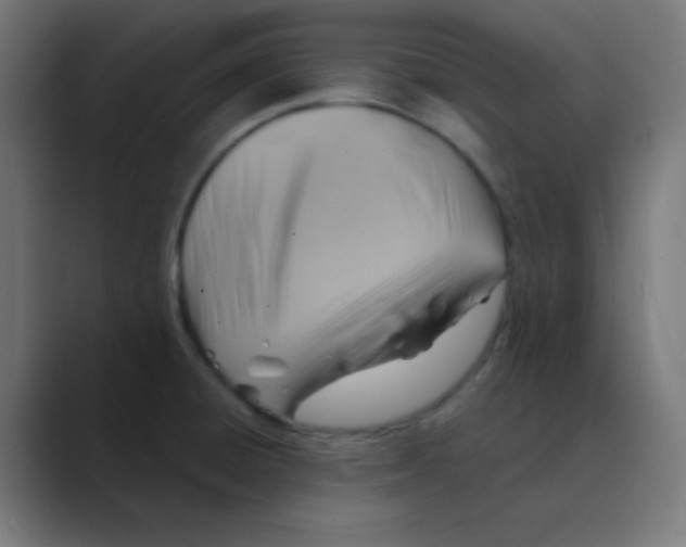 X0000088441428200706191244