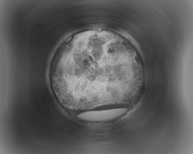 X0000088441429200706191244