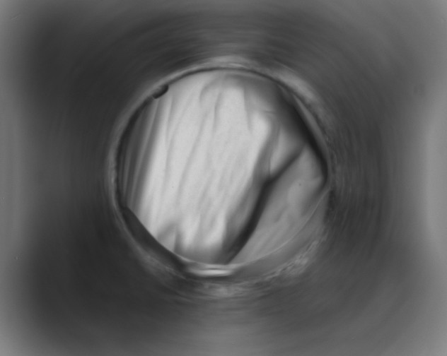 X0000088441430200706191244