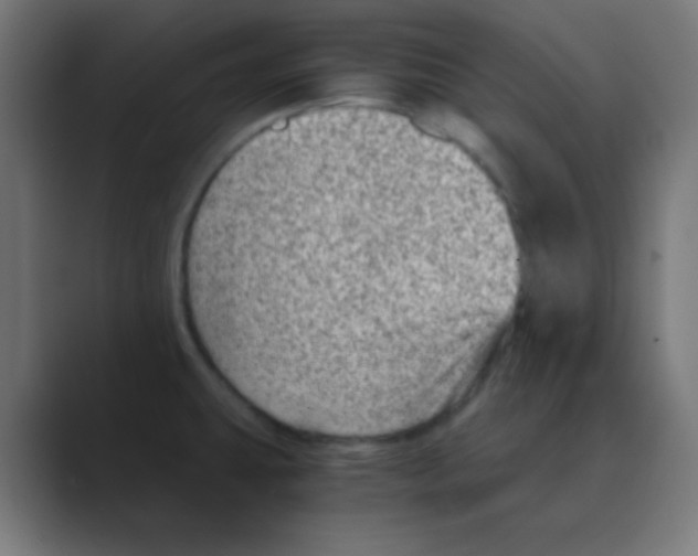 X0000088441431200706191244