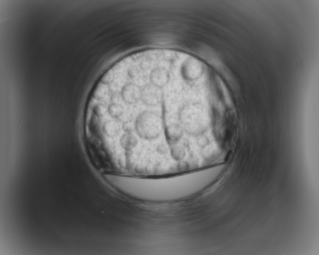 X0000088441432200706191244