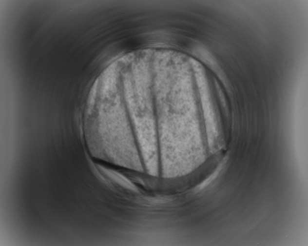 X0000088441433200706191244