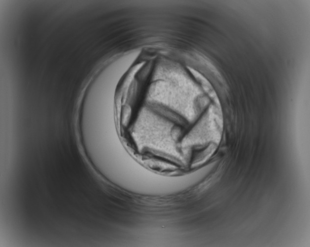 X0000088441434200706191244