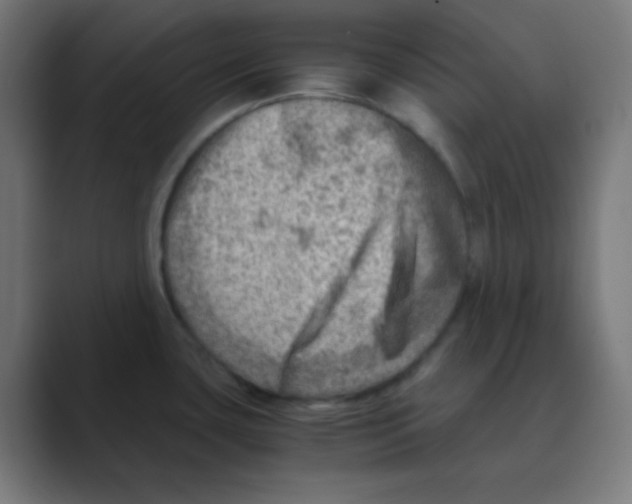 X0000088441435200706191245