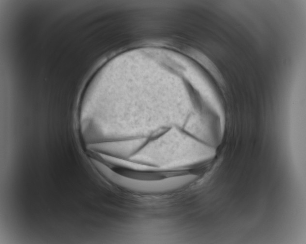 X0000088441436200706191245