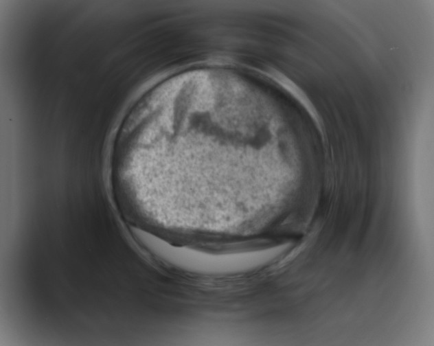 X0000088441437200706191245