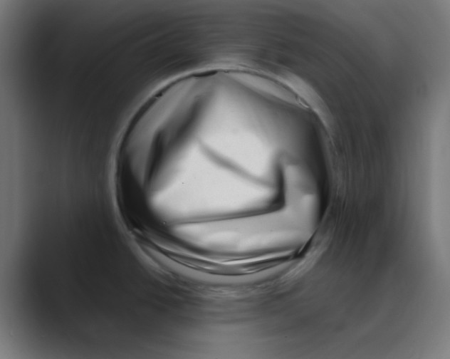 X0000088441438200706191245