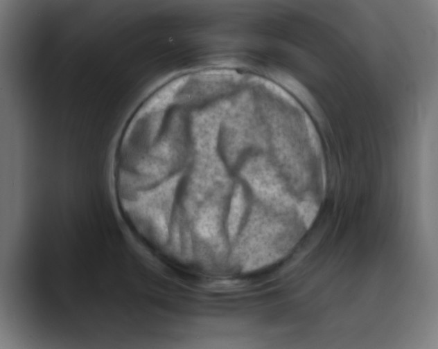 X0000088441439200706191245