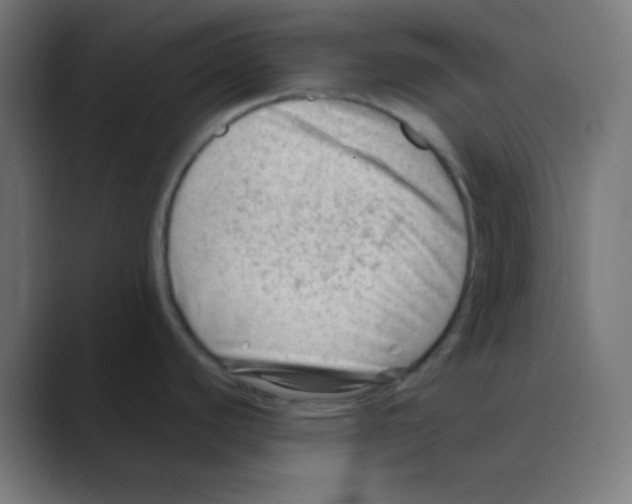 X0000088441440200706191245