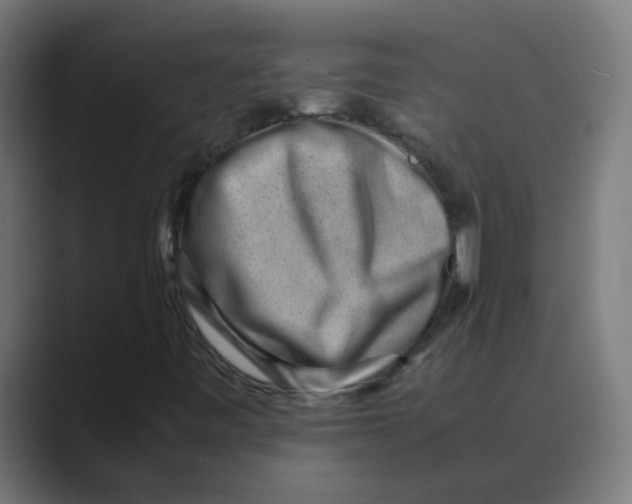 X0000088441443200706191244