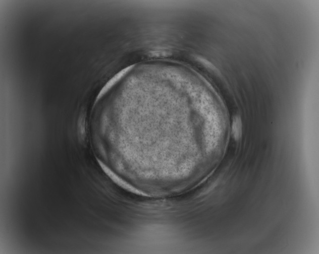 X0000088441444200706191244