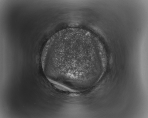 X0000088441445200706191244