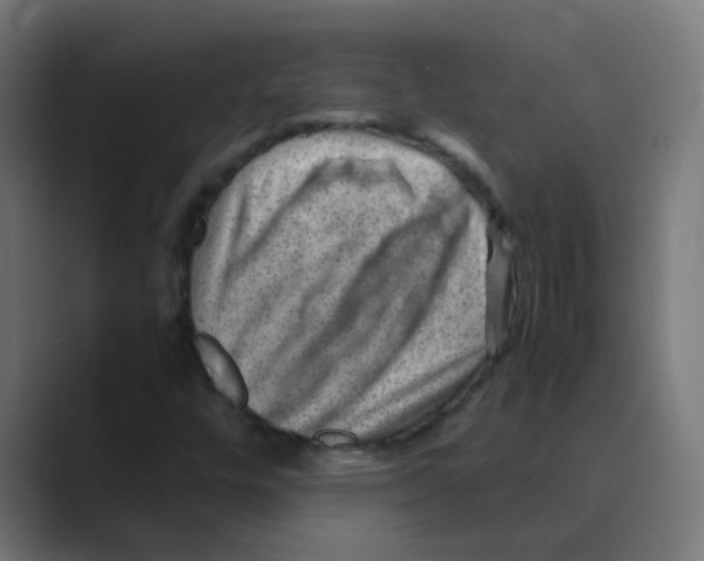 X0000088441448200706191244
