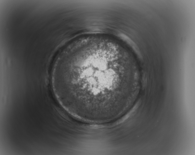 X0000088441449200706191244