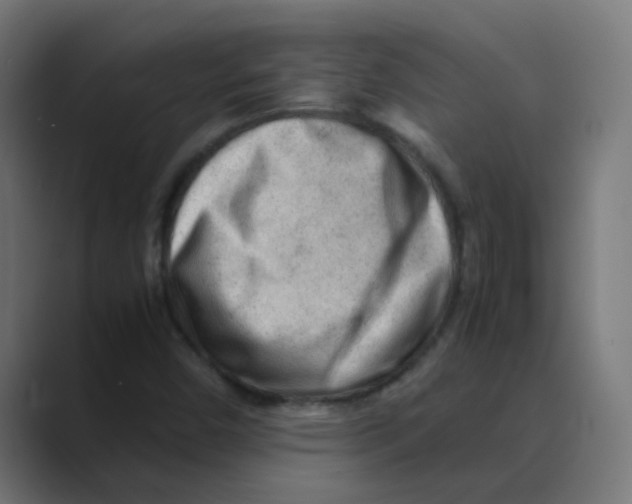 X0000088441450200706191244