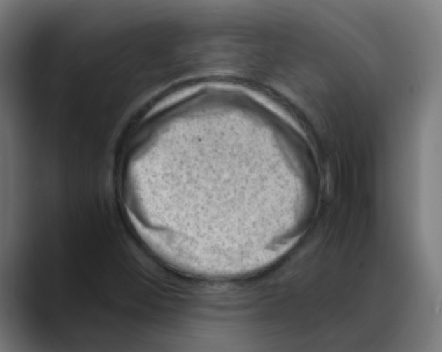 X0000088441452200706191244