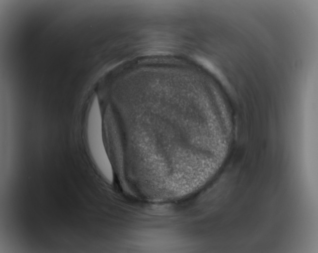 X0000088441453200706191244