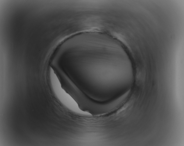 X0000088441455200706191244