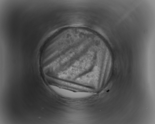 X0000088441456200706191244