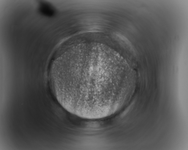 X0000088441457200706191244