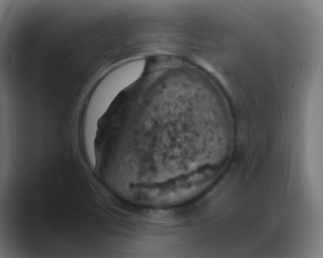 X0000088441459200706191244
