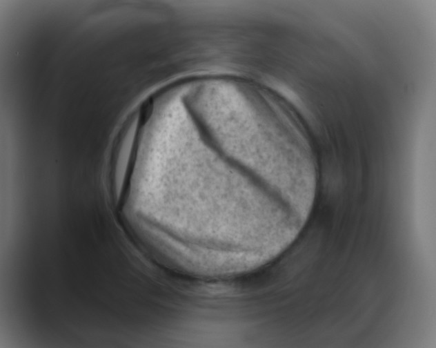 X0000088441460200706191244