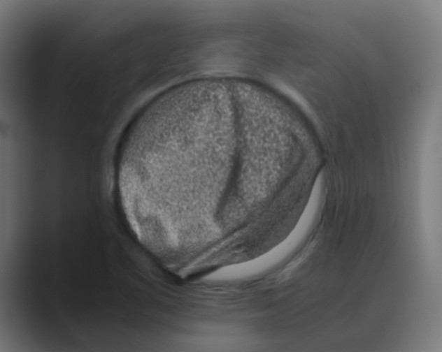 X0000088441461200706191244