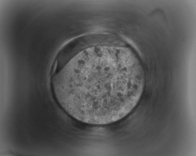 X0000088441463200706191244