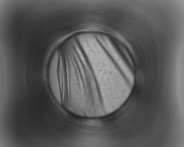 X0000088441464200706191244