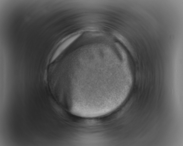 X0000088441465200706191244