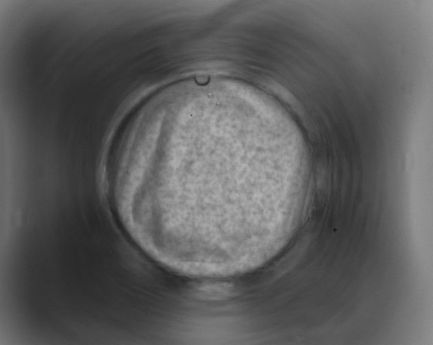X0000088441466200706191244
