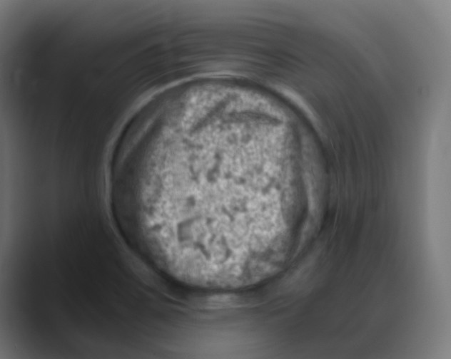 X0000088441467200706191244