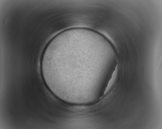 X0000088441468200706191244