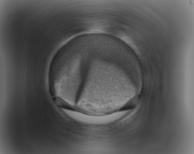 X0000088441469200706191244