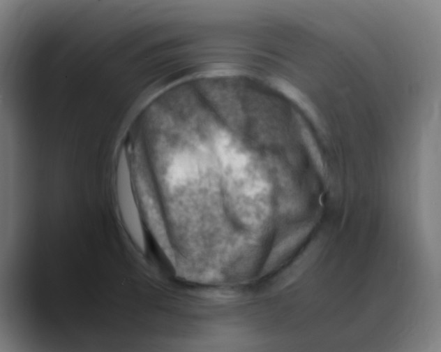X0000088441473200706191244