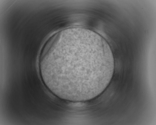 X0000088441474200706191244