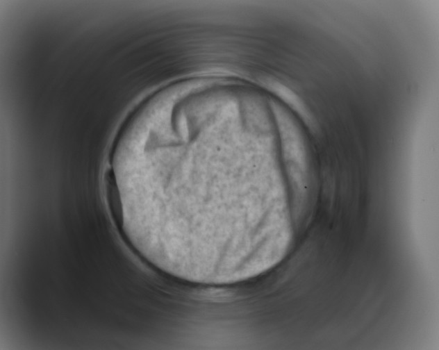 X0000088441476200706191244