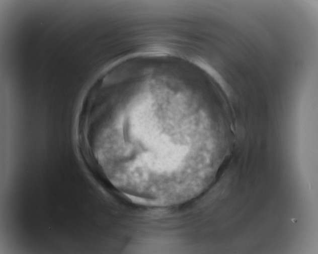 X0000088441477200706191244