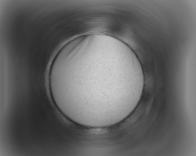 X0000088441478200706191244
