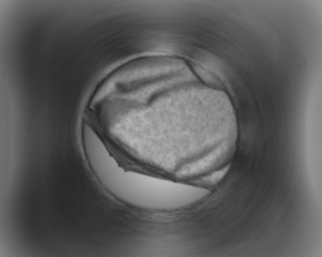 X0000088441480200706191244