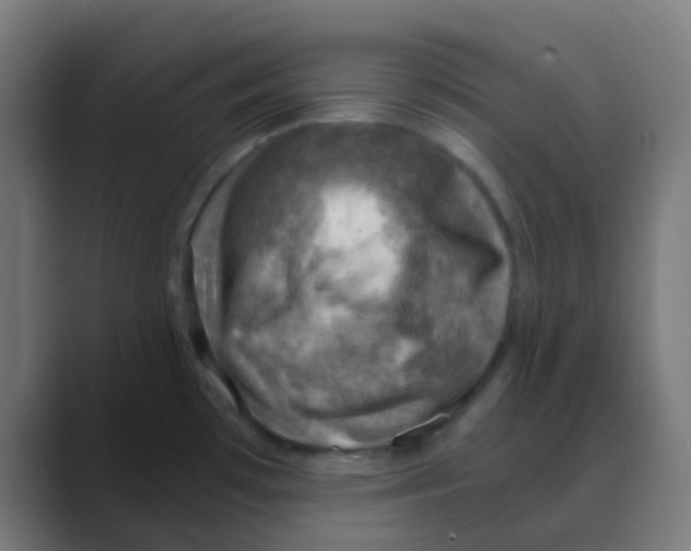 X0000088441481200706191244