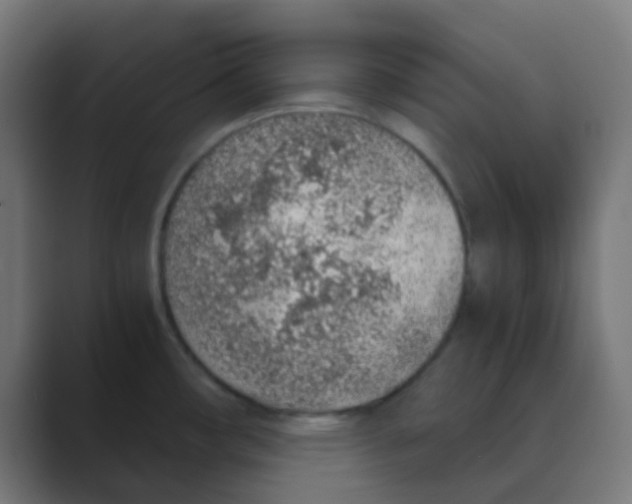 X0000088441482200706191244