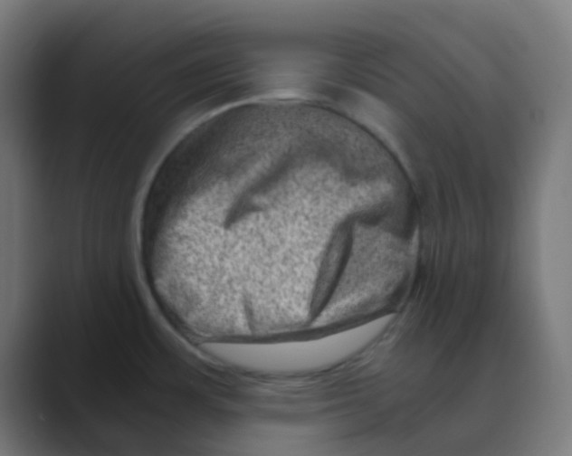 X0000088441483200706191244
