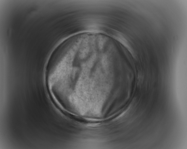 X0000088441484200706191244